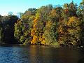 Fall View2